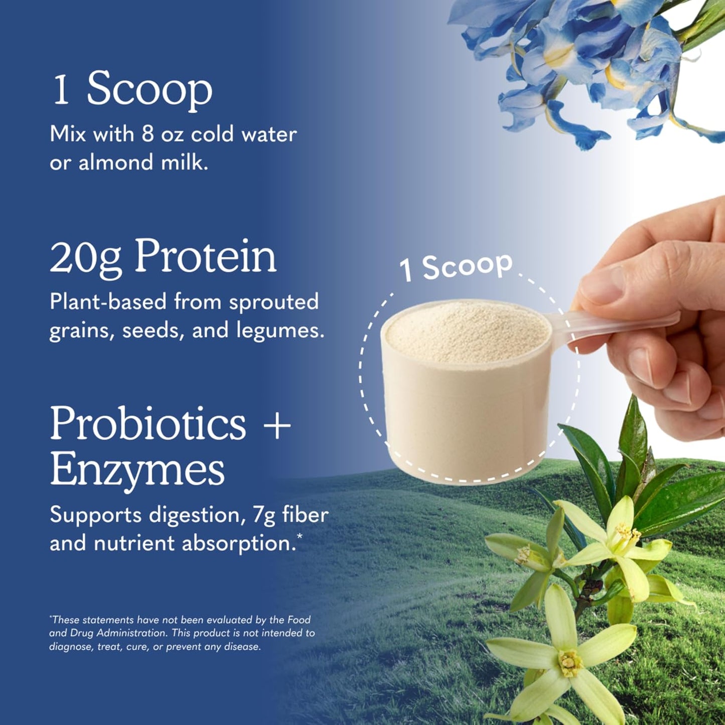 Garden of Life Meal Replacement Shakes, Vegan Raw Organic Protein Powder, Vanilla Protein Powder with Plant Based Pea Protein, Sprouts, Greens, Probiotics, Dairy Free 28 Servings