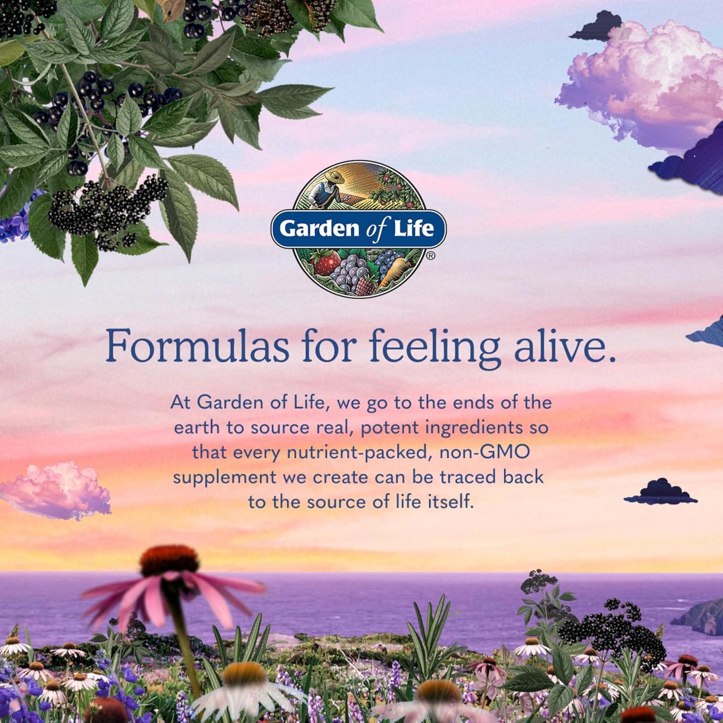 Garden of Life Meal Replacement Shakes, Vegan Raw Organic Protein Powder, Vanilla Protein Powder with Plant Based Pea Protein, Sprouts, Greens, Probiotics, Dairy Free 28 Servings